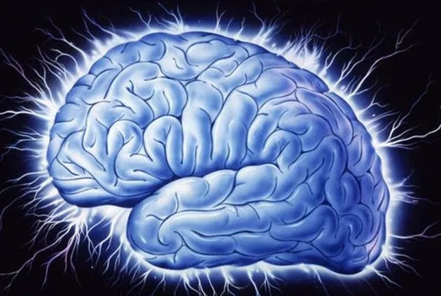 Ngủ và trí nhớ